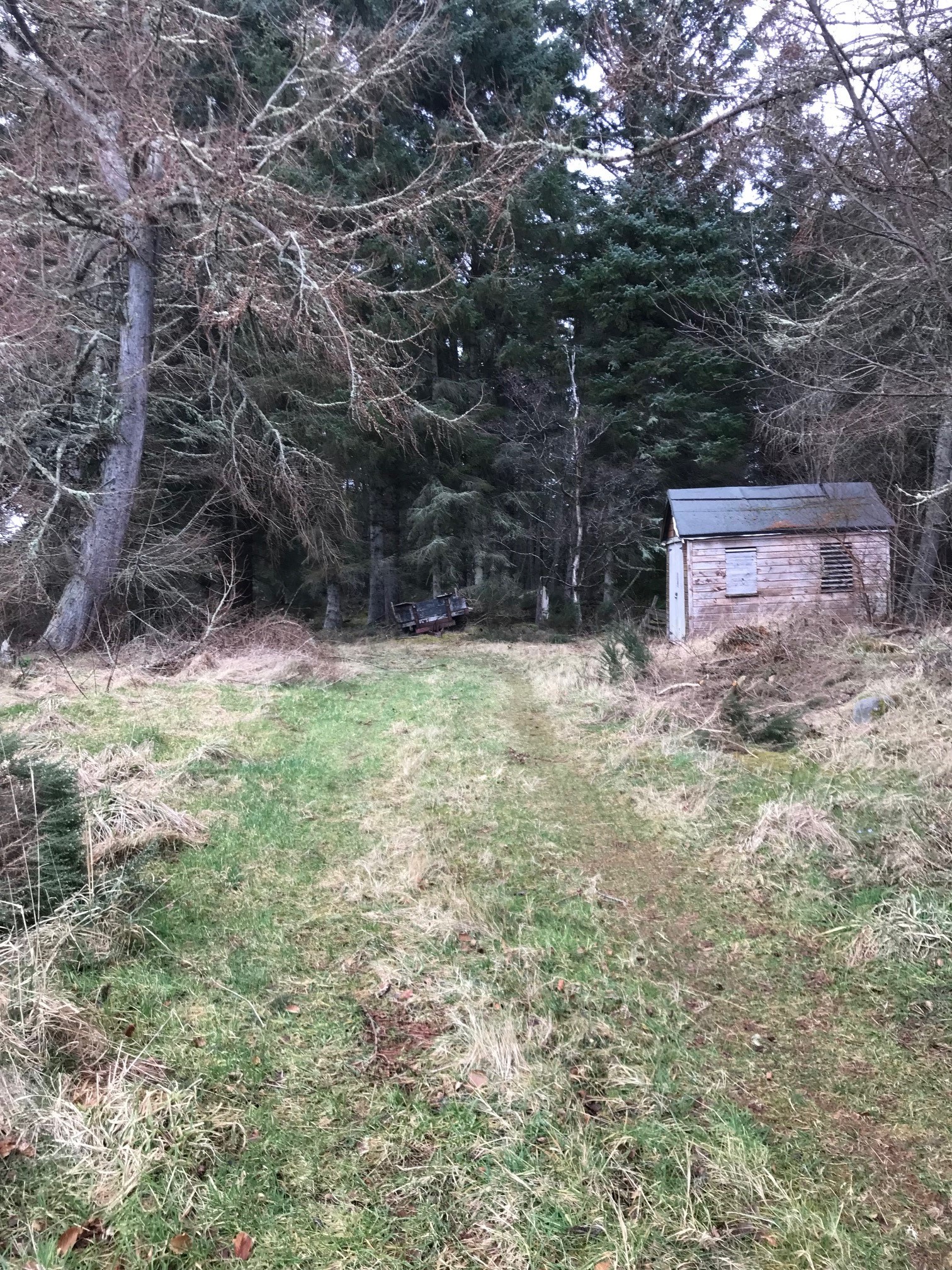  Woodland  Embo Street 